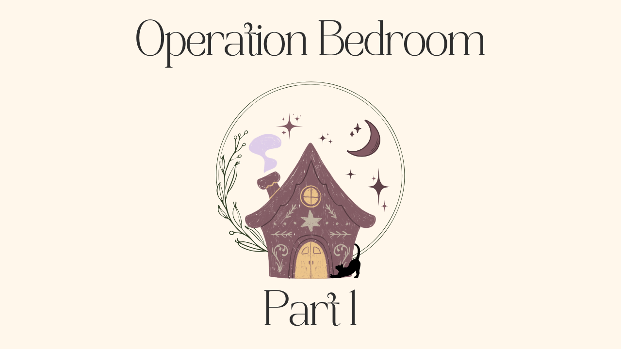 Part 1: Project Introduction & Plan
